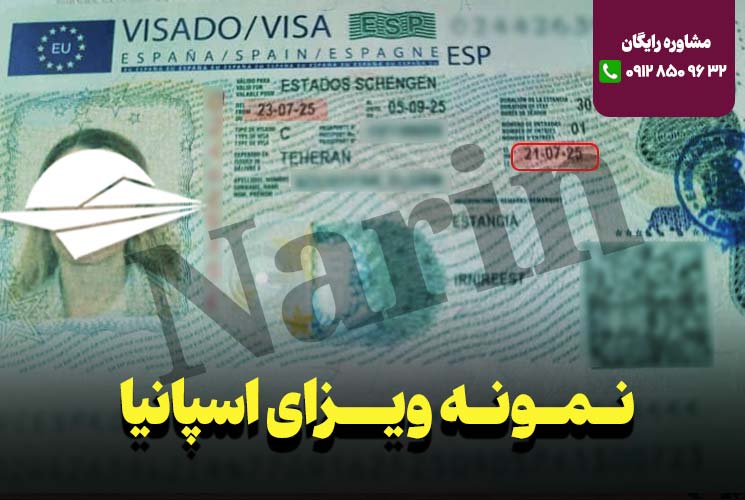 نمونه ویزلی 7