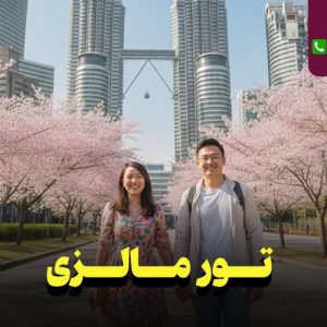 تور مالزی 8 روزه نارین سفر